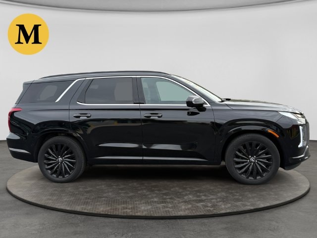 2024 Hyundai Palisade Calligraphy Night Edition - Photo 7
