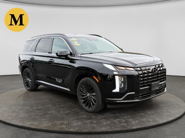 2024 Hyundai Palisade Calligraphy Night Edition - Photo 9