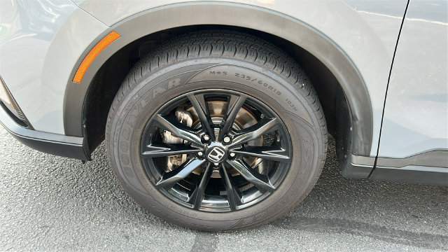 Photo 8