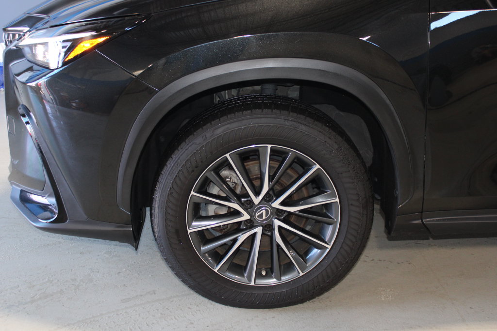 Used 2023 Lexus NX 350 350 Premium SUV