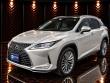 Used 2020 Lexus RX 350  SUV