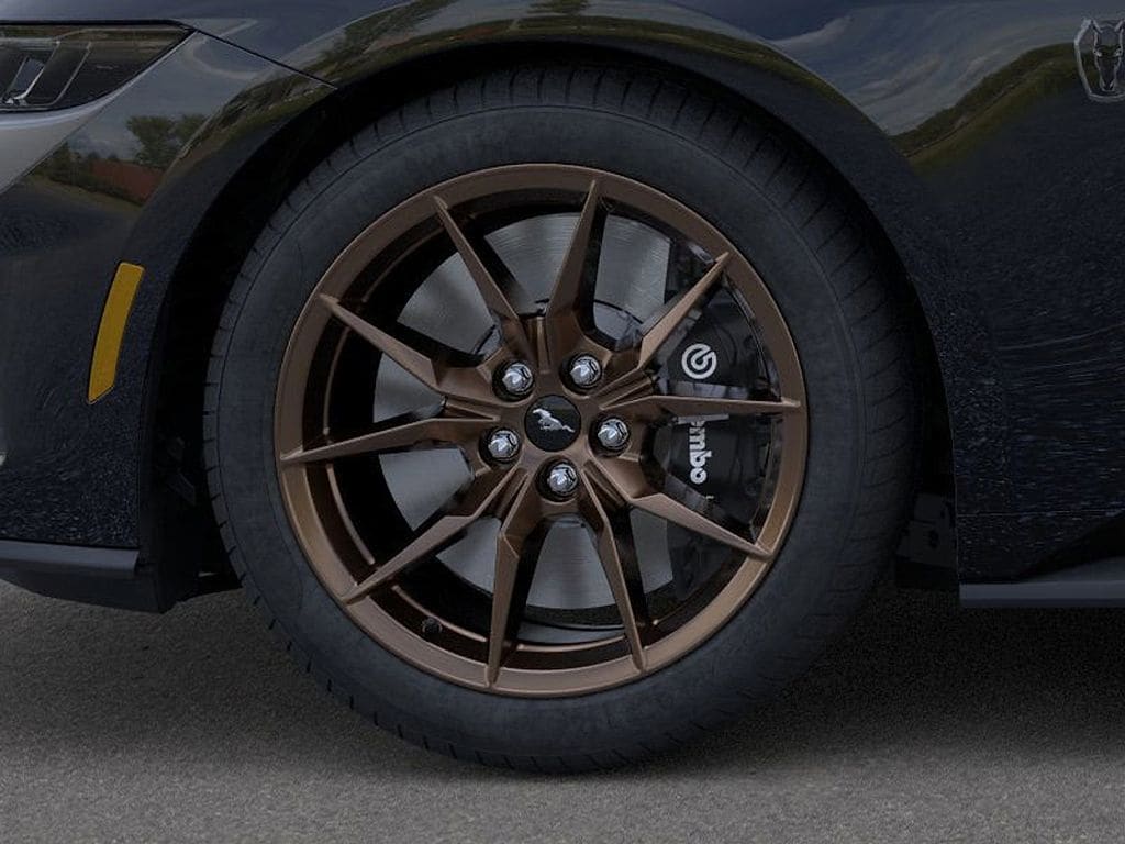 2025 Ford Mustang Dark Horse - Photo 19