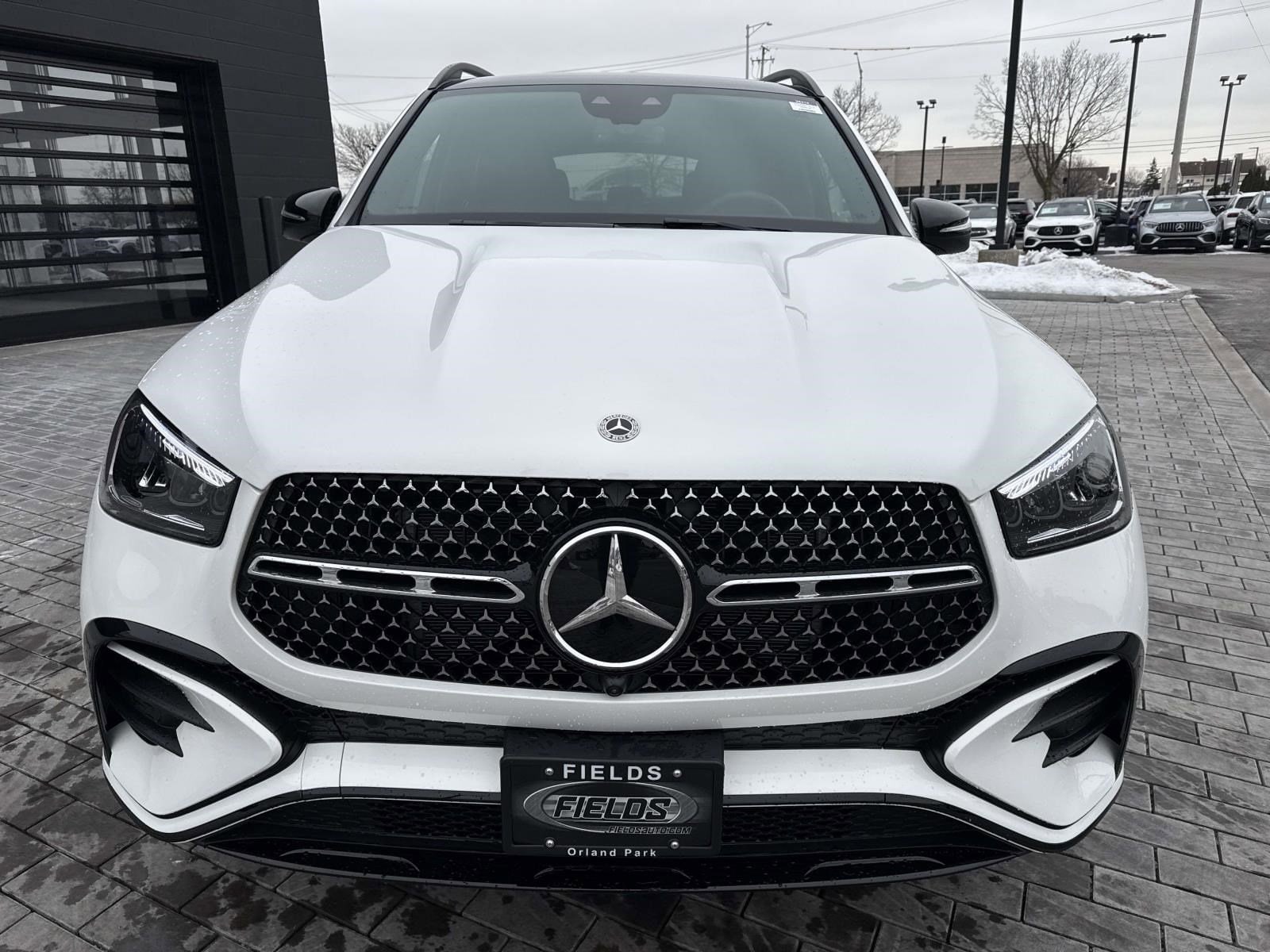 2026 Mercedes-Benz GLE GLE450 - Photo 3