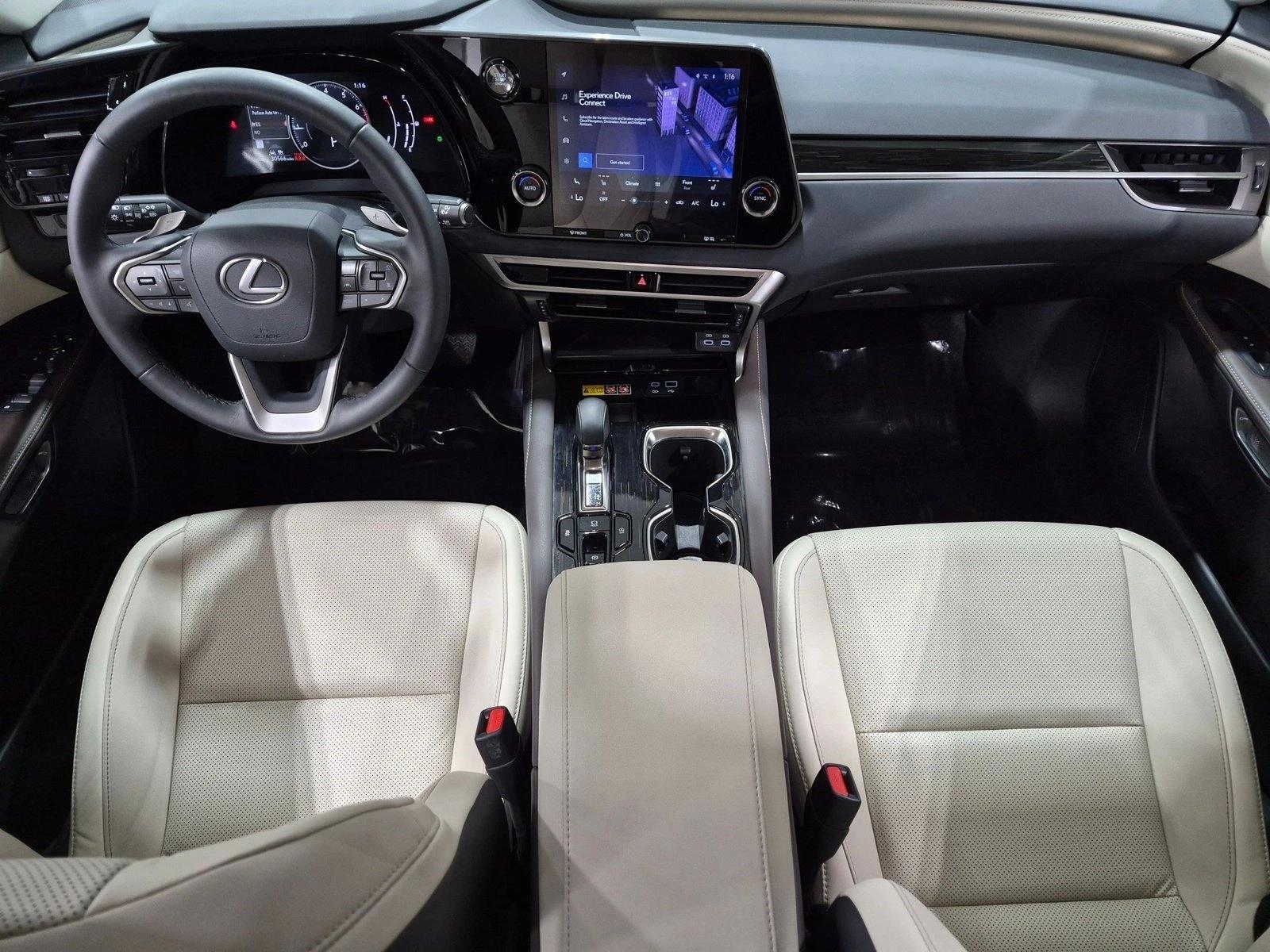 2024 Lexus RX 350, photo 18 of 25