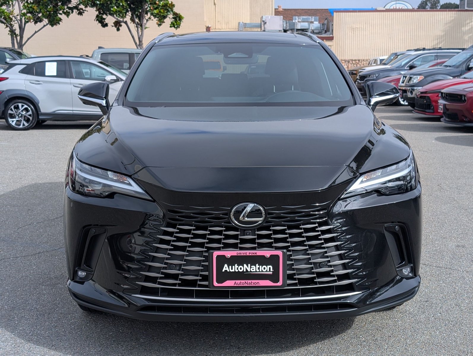 Used 2025 Lexus RX Premium SUV