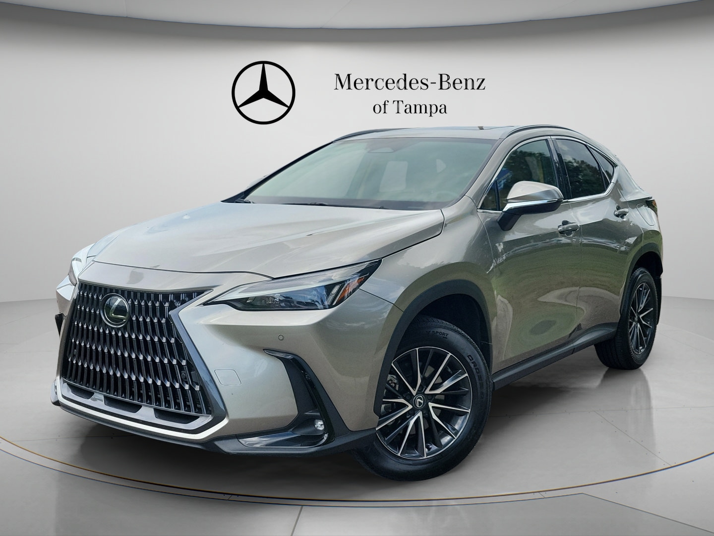 2024 Lexus NX