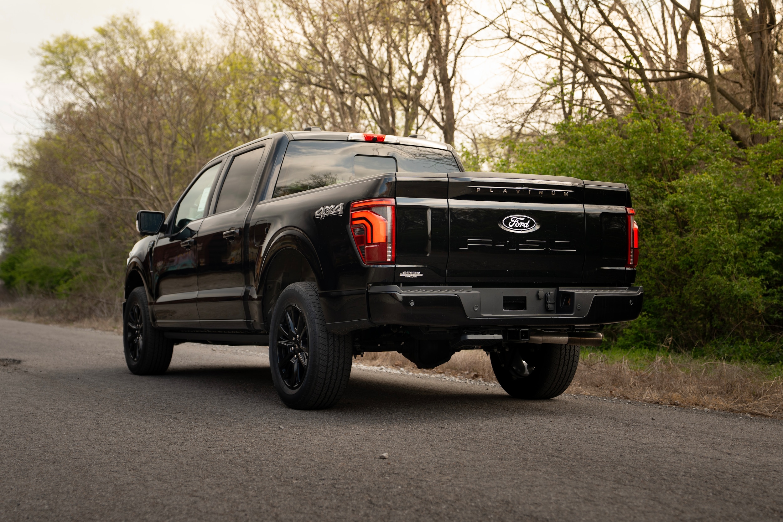 2025 Ford F-150 Platinum - Photo 5