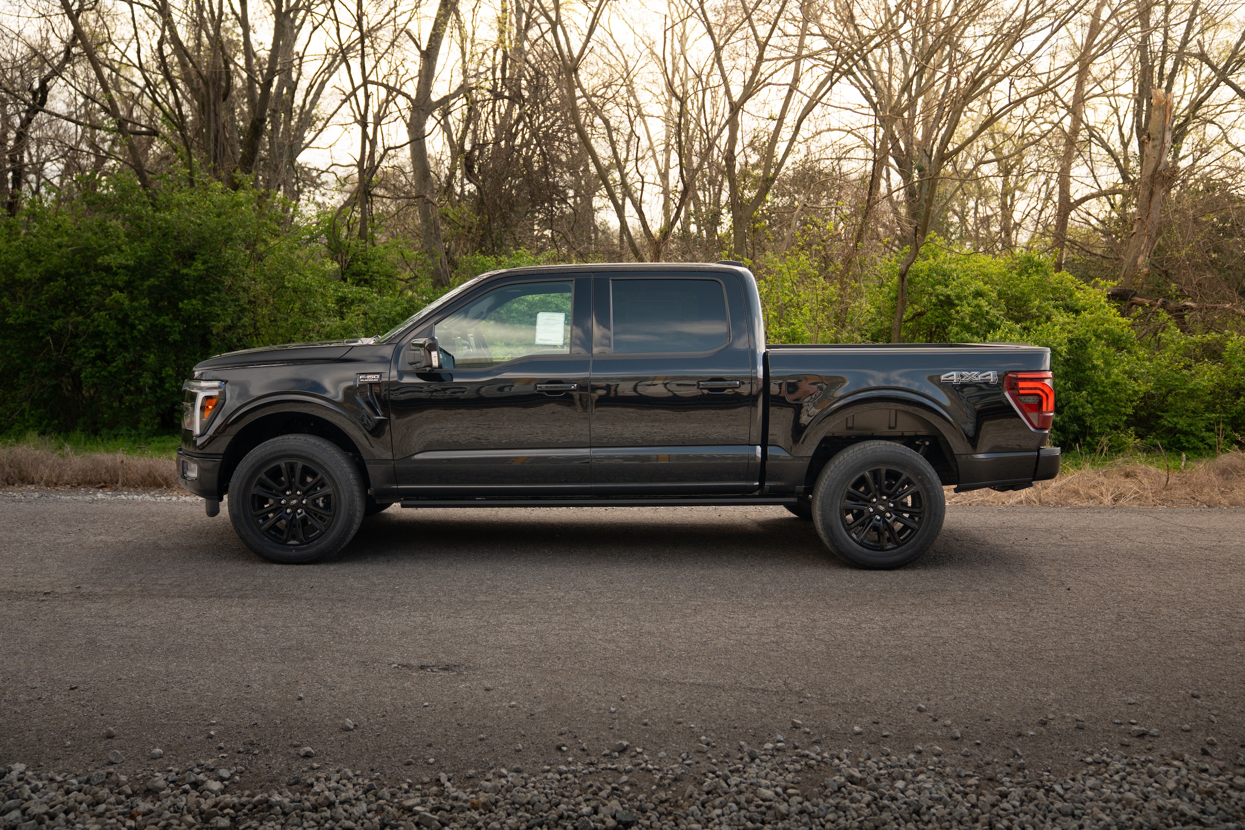 2025 Ford F-150 Platinum - Photo 4