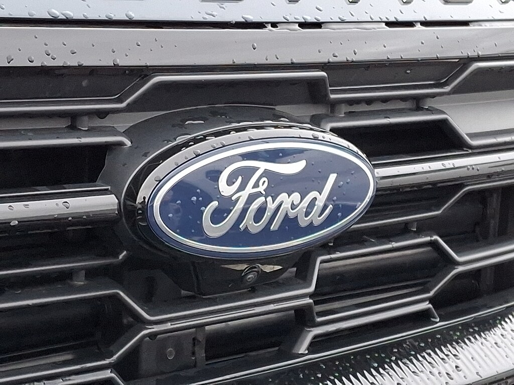 Certified 2025 Ford Expedition Active Sport Utility