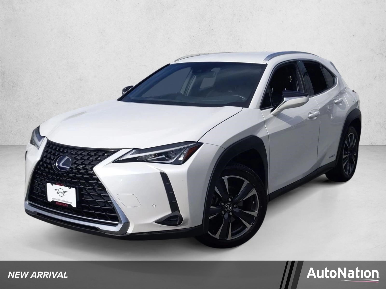 2021 Lexus UX Hybrid