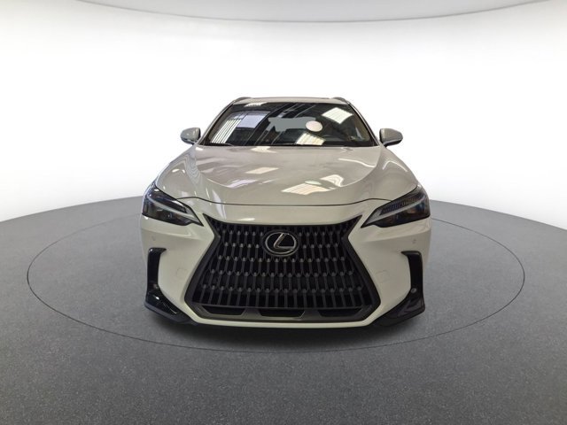 Used 2024 Lexus NX 350 Premium SUV