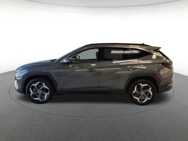 2024 Hyundai Tucson Limited - Photo 8