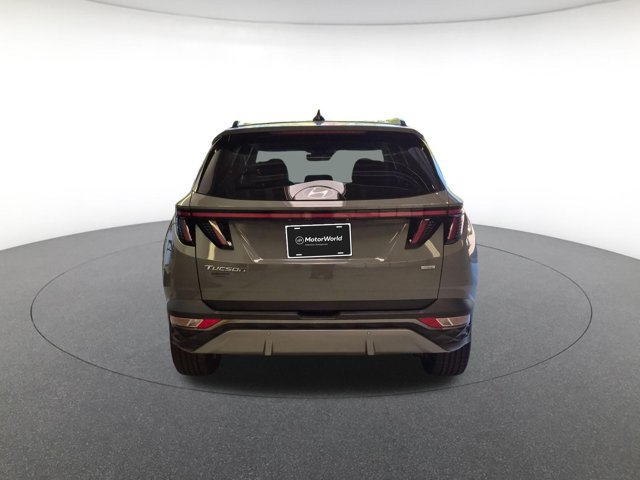 2024 Hyundai Tucson Limited - Photo 6