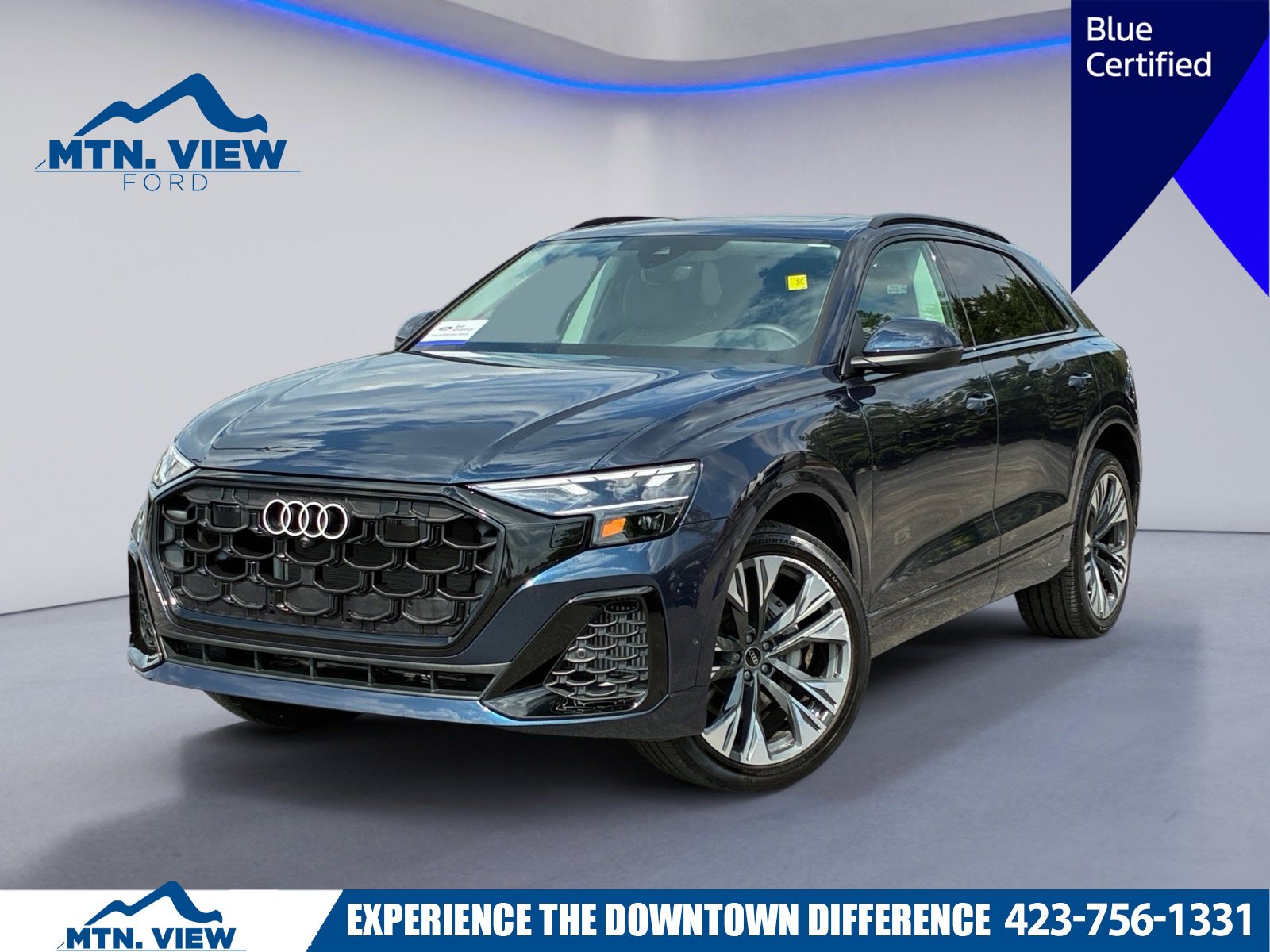 2025 Audi Q8