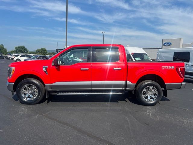 Used 2021 Ford F-150 XLT Truck