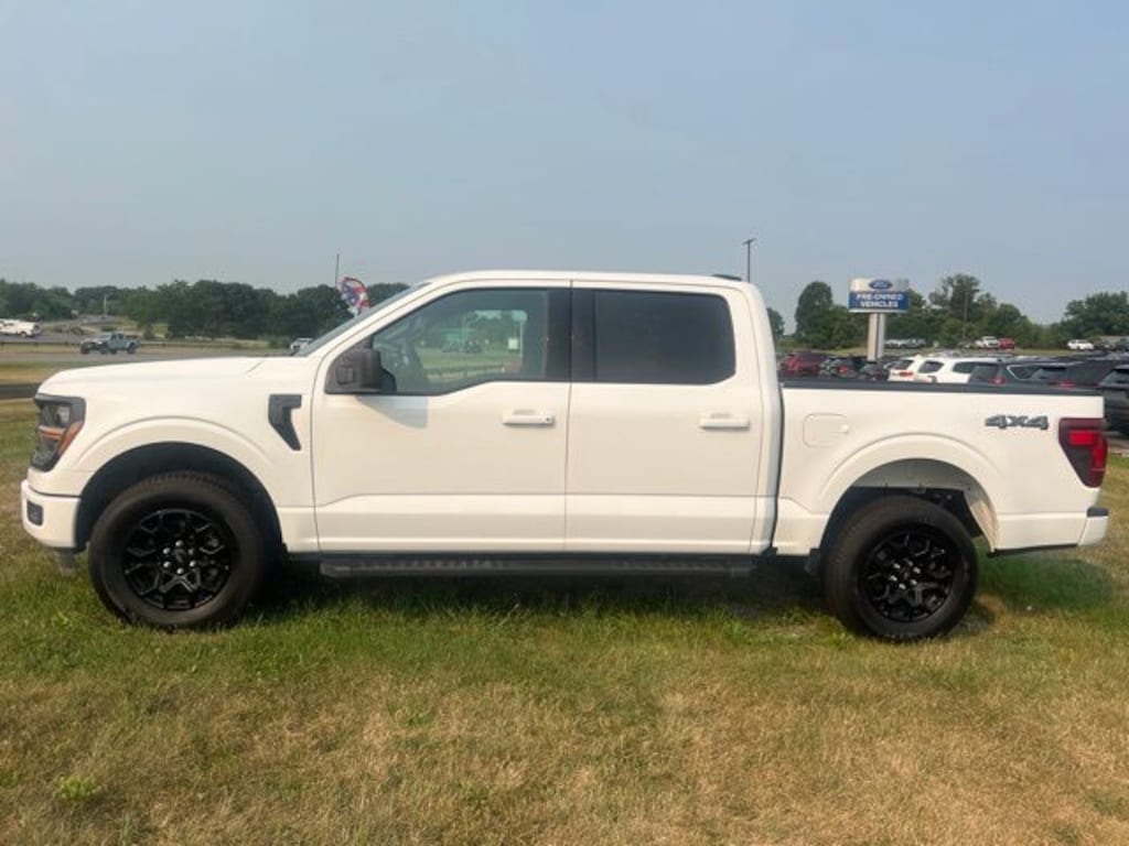 Used 2025 Ford F-150 XLT Truck