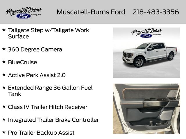 2022 Ford F-150 Platinum - Photo 16