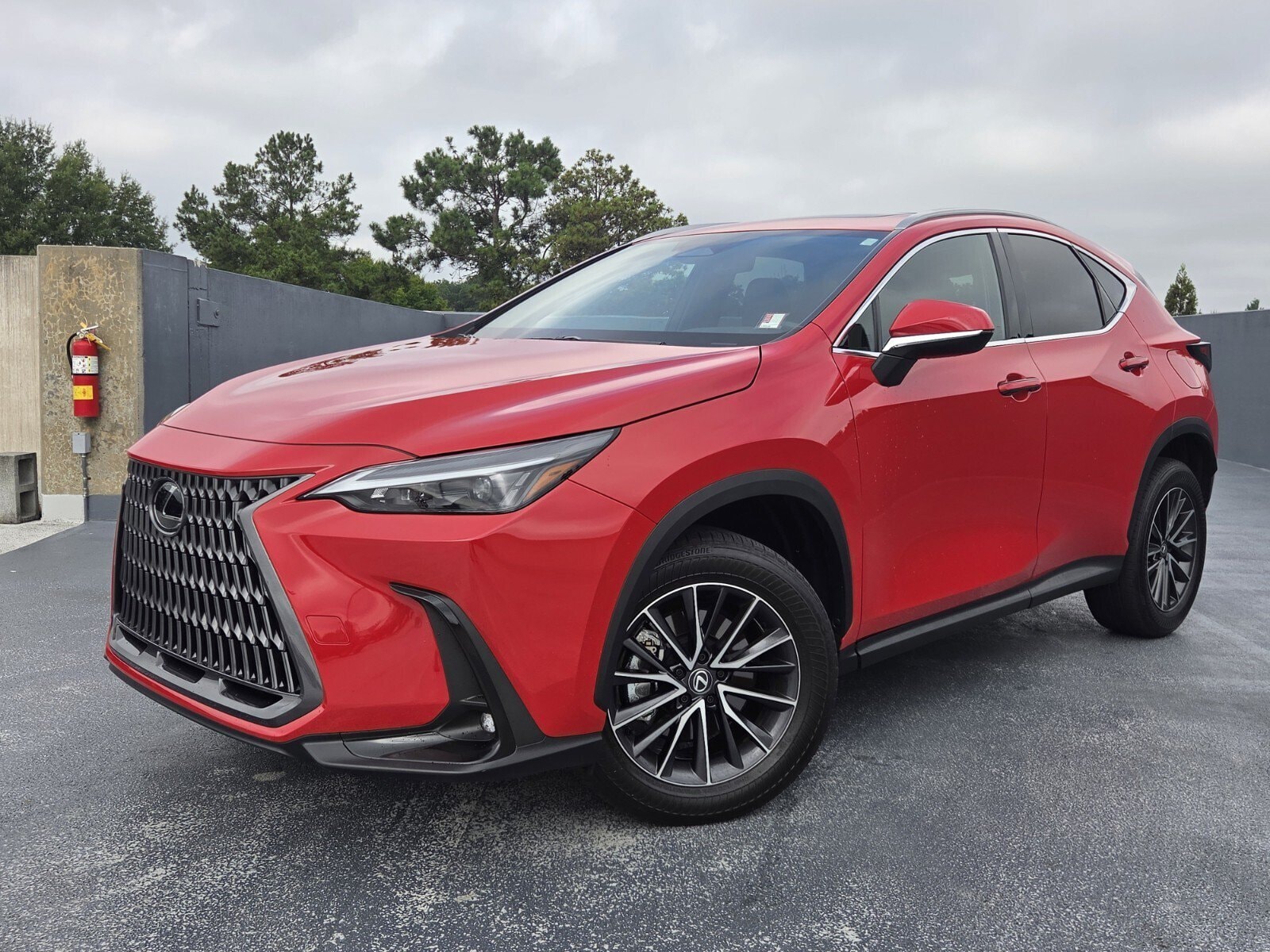 2024 Lexus NX