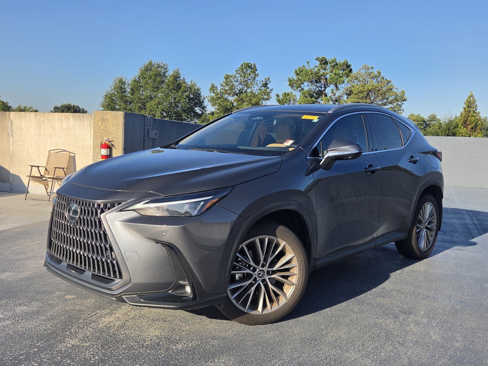 2025 Lexus NX