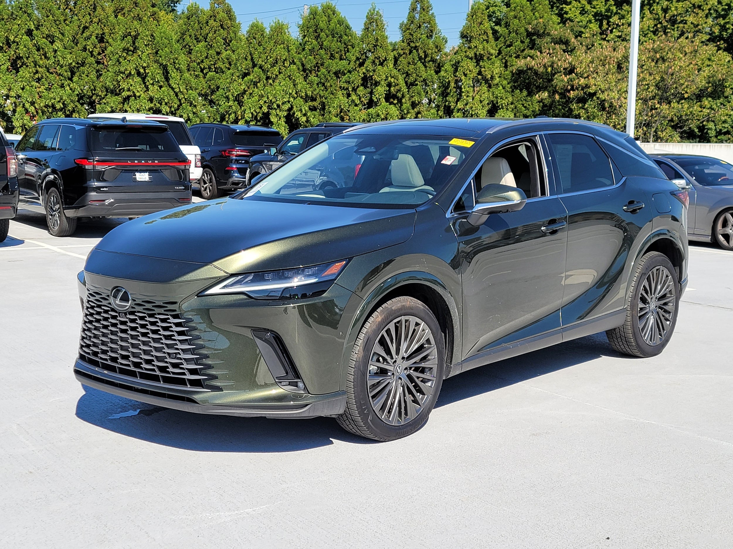 2025 Lexus RX