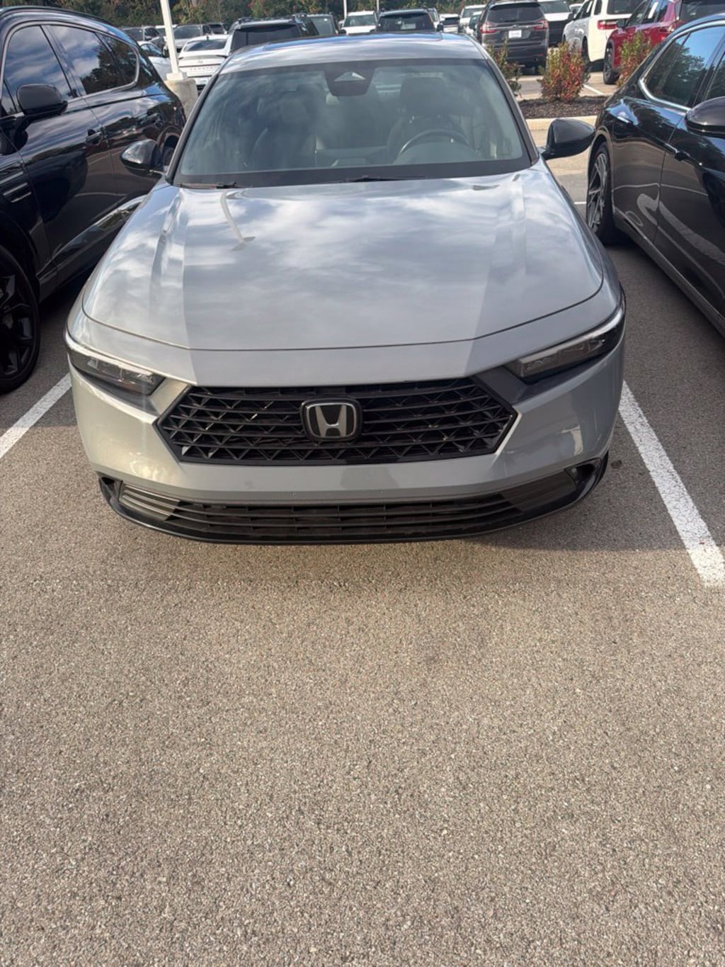 Used 2024 Honda Accord Hybrid Sport-L Sedan