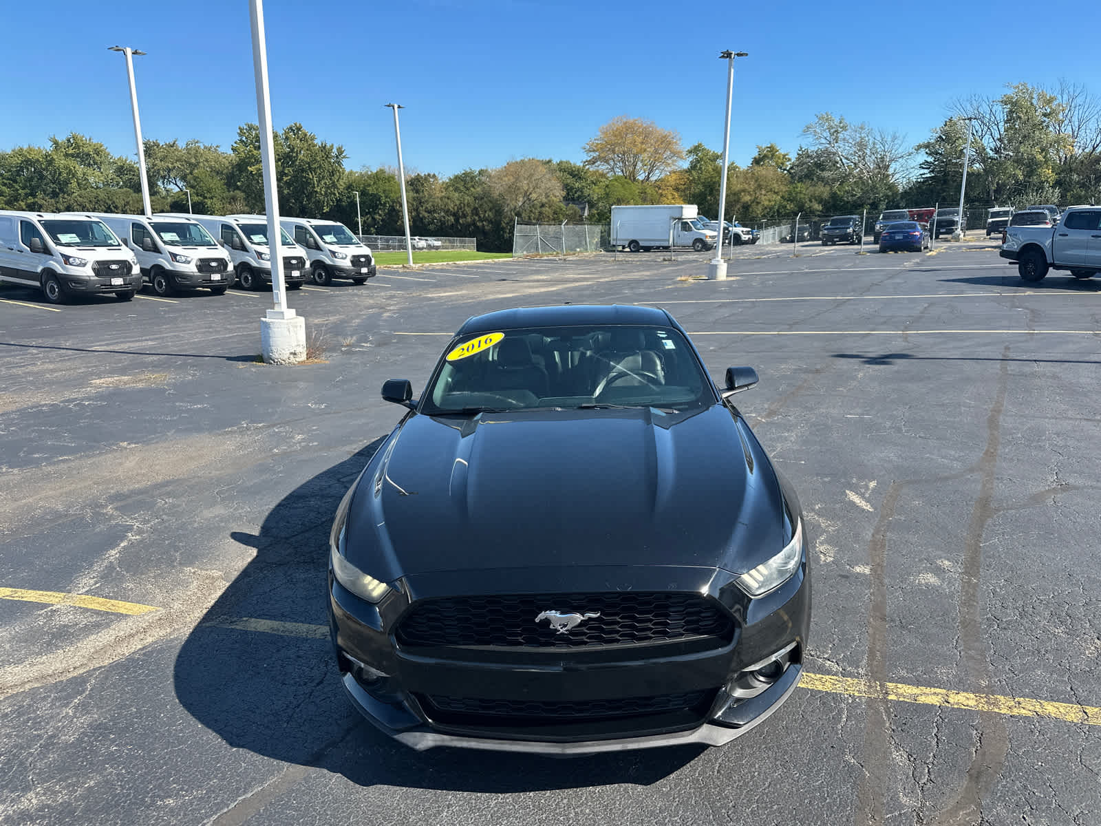 Used 2016 Ford Mustang Ecoboost Premium Coupe
