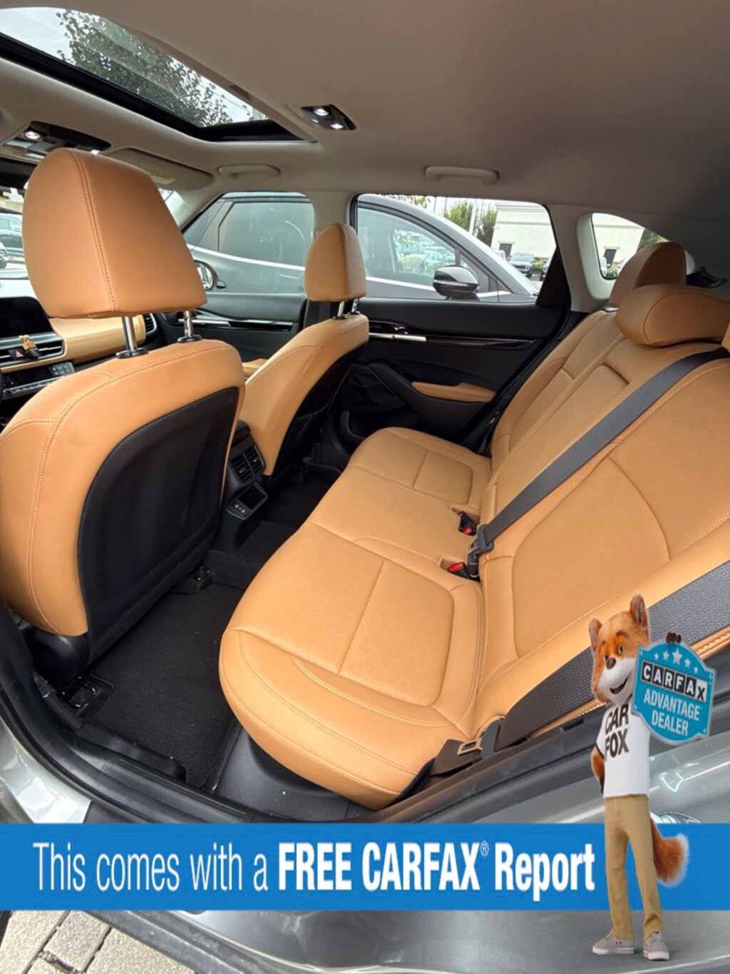 Used 2024 Kia Seltos EX SUV