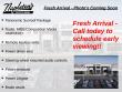 Used 2024 Volkswagen Tiguan 2.0T SE SUV