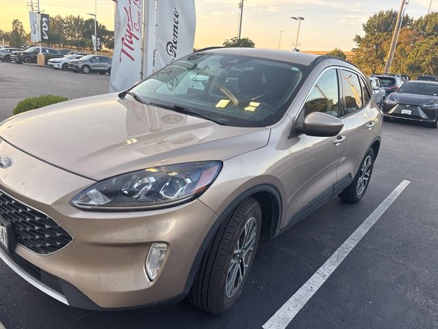  Ford Escape