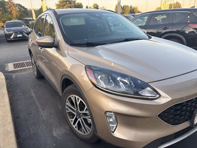 Used 2020 Ford Escape SEL SUV