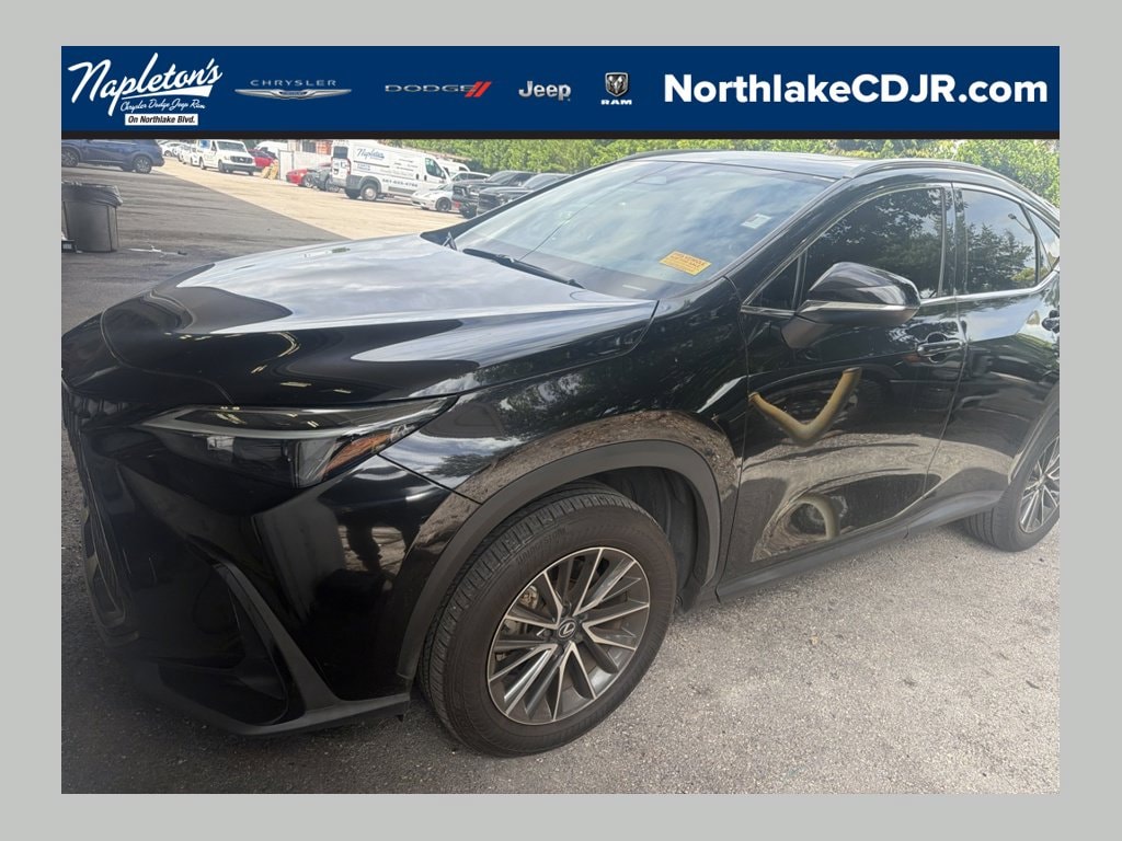2024 Lexus NX 250