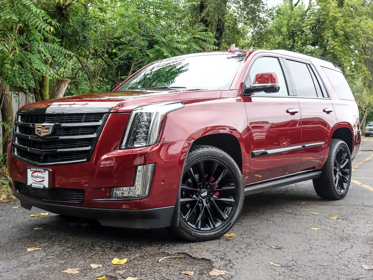 2019 Cadillac Escalade Premium Luxury