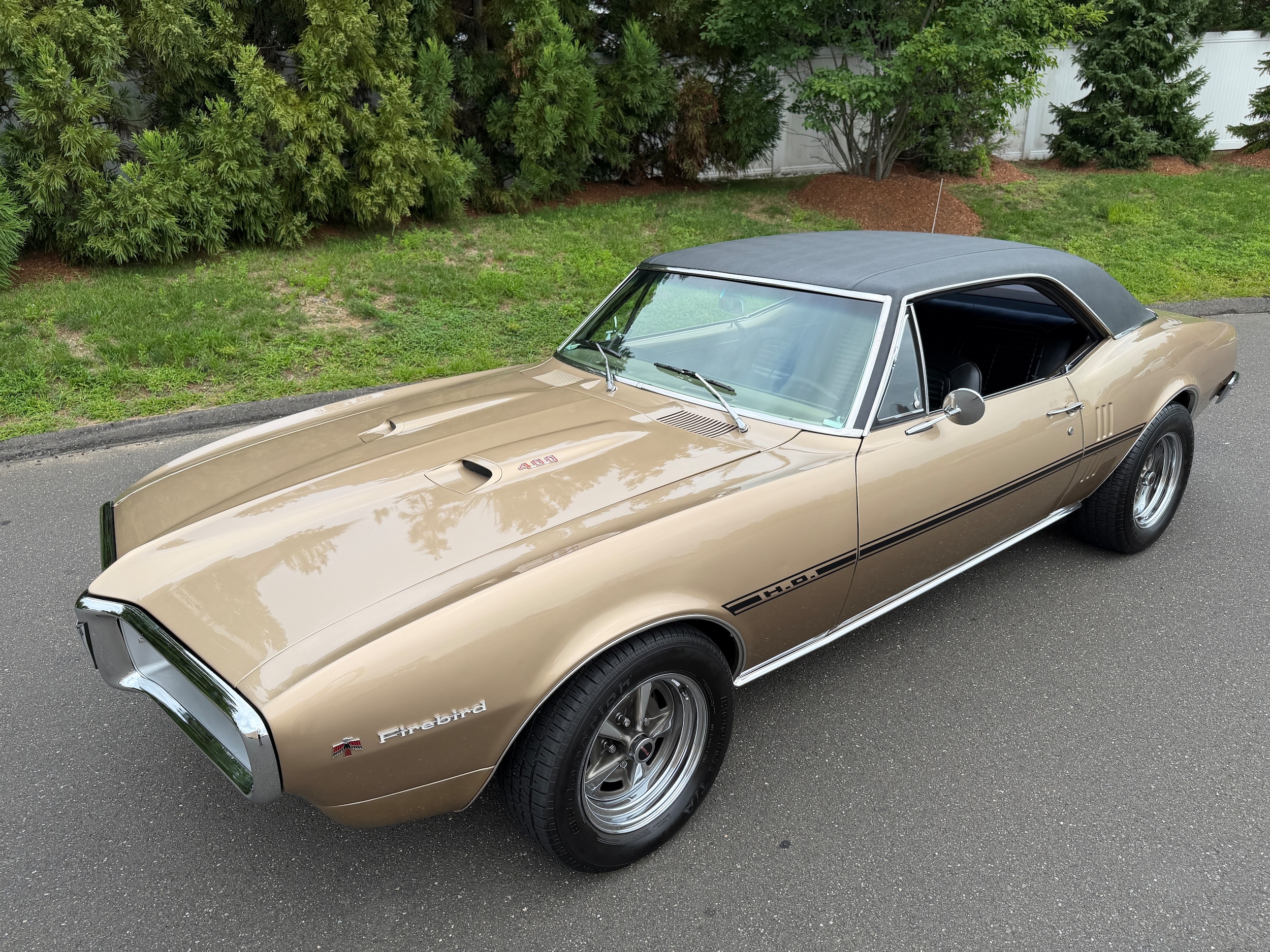 Used 1967 Pontiac Firebird For Sale at Napoli Classics | VIN