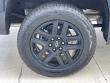 2026 Chevrolet Silverado 1500 LT Trail Boss Truck Crew Cab