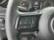 2025 Jeep Gladiator Rubicon X Truck Crew Cab