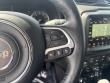 2021 Jeep Renegade Latitude SUV