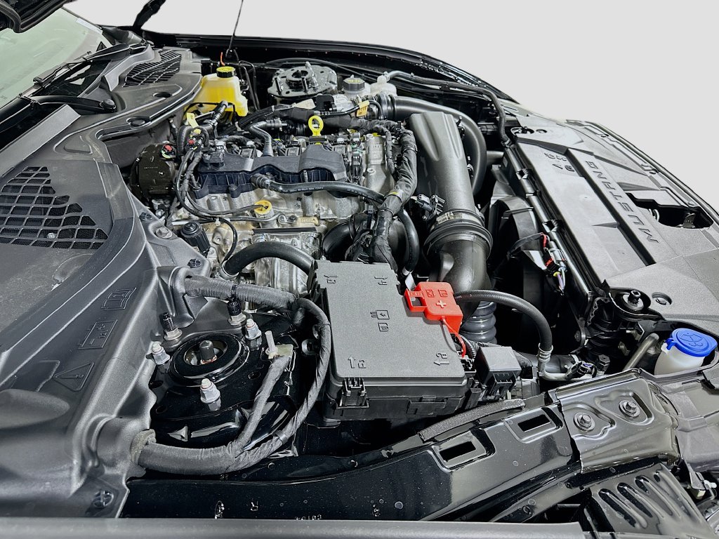 2026 Ford Mustang EcoBoost Premium Fastback - Photo 24