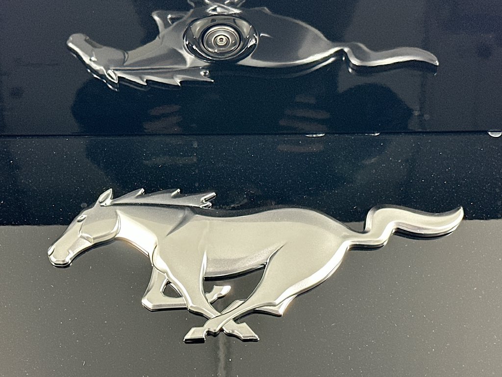 2026 Ford Mustang EcoBoost Premium Fastback - Photo 25