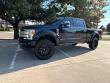 Used 2019 Ford F-250SD Platinum Truck