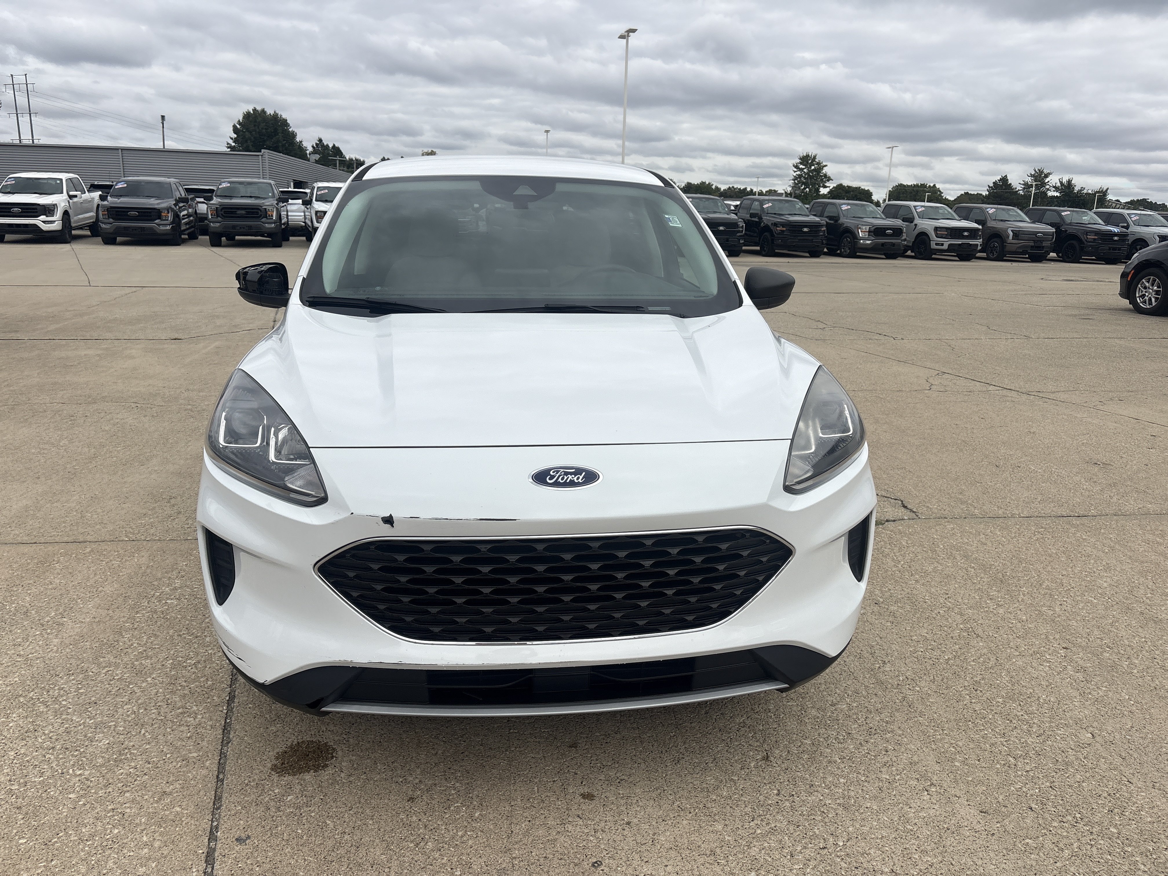 Used 2022 Ford Escape SE SUV