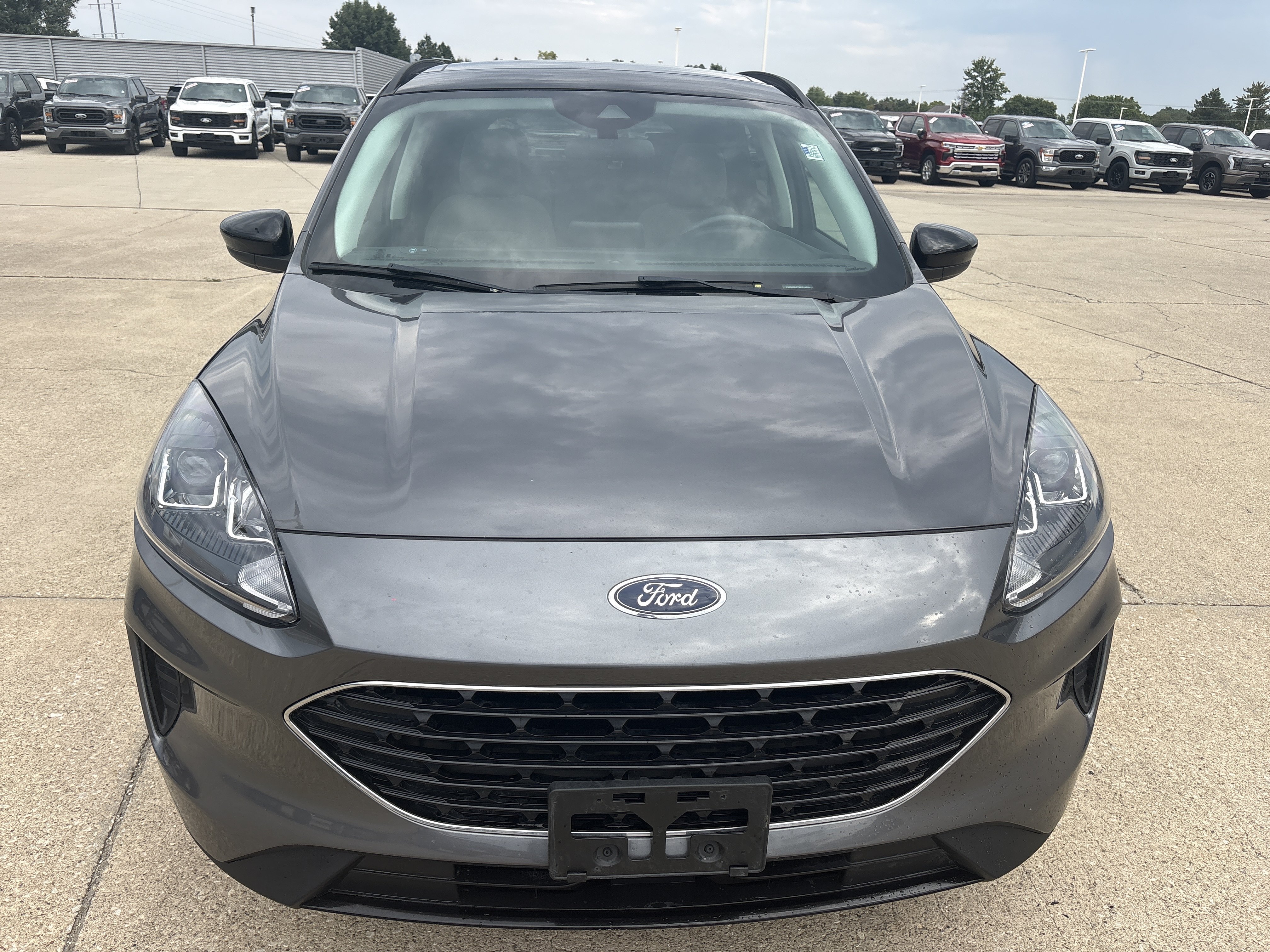 Used 2021 Ford Escape SE Hybrid SUV