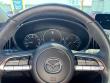 2025 Mazda CX-50 2.5 S Preferred Package SUV