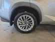 2020 LEXUS NX 300 F Sport SUV