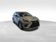 2020 LEXUS NX 300 F Sport SUV
