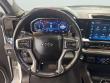 2025 Chevrolet Silverado 1500 RST Truck Crew Cab