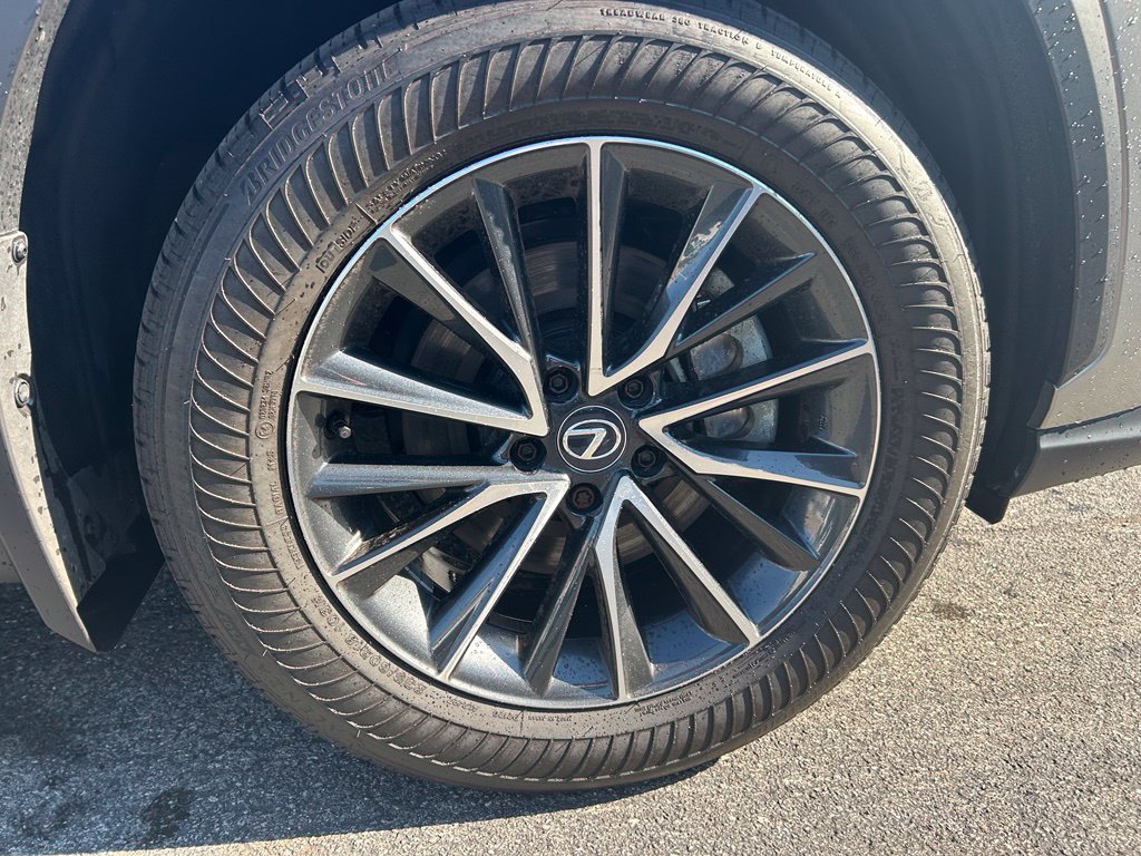 2025 Lexus NX 350 - Photo 23