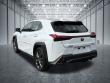 2019 LEXUS UX 250h F Sport SUV