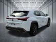 2019 LEXUS UX 250h F Sport SUV