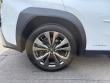 2019 LEXUS UX 250h F Sport SUV