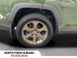 2024 Toyota RAV4 Hybrid Woodland Edition SUV